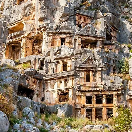 Home Αλάνια