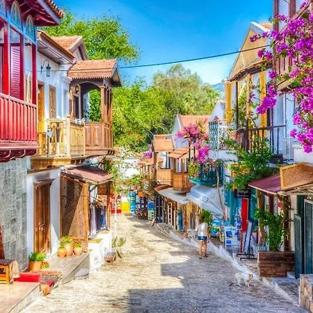 Home Αλάνια